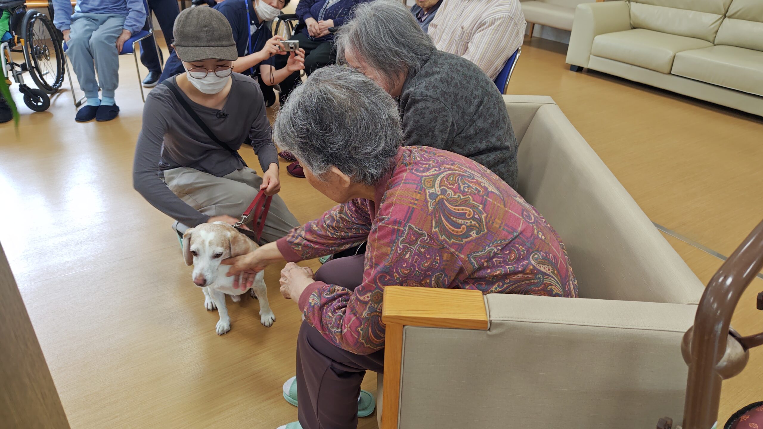 ドッグセラピー🐕のサムネイル
